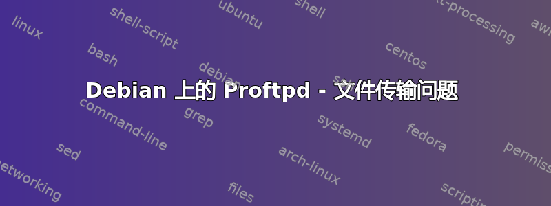 Debian 上的 Proftpd - 文件传输问题