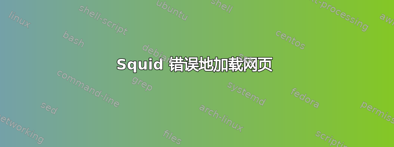 Squid 错误地加载网页