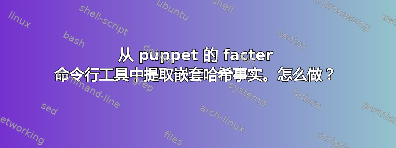 从 puppet 的 facter 命令行工具中提取嵌套哈希事实。怎么做？