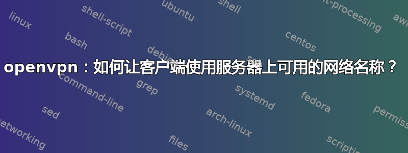 openvpn：如何让客户端使用服务器上可用的网络名称？