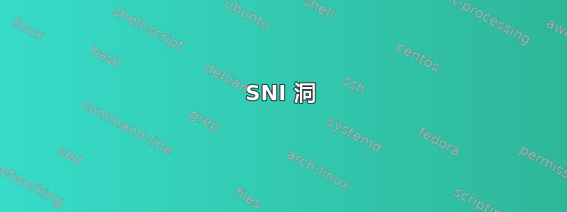 SNI 洞