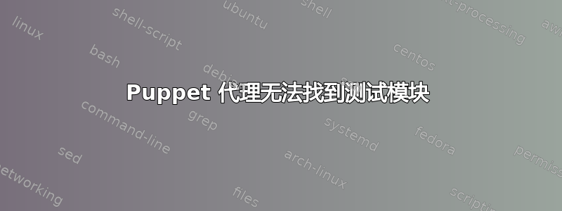 Puppet 代理无法找到测试模块