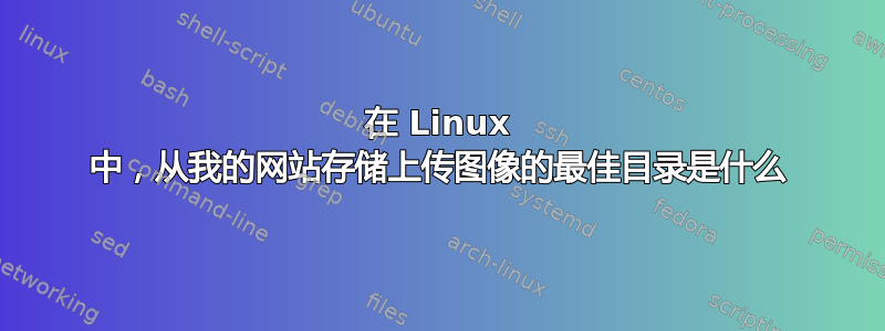 在 Linux 中，从我的网站存储上传图像的最佳目录是什么