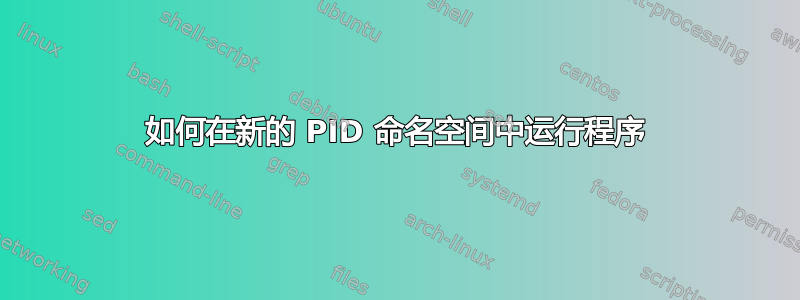 如何在新的 PID 命名空间中运行程序