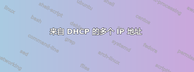 来自 DHCP 的多个 IP 地址