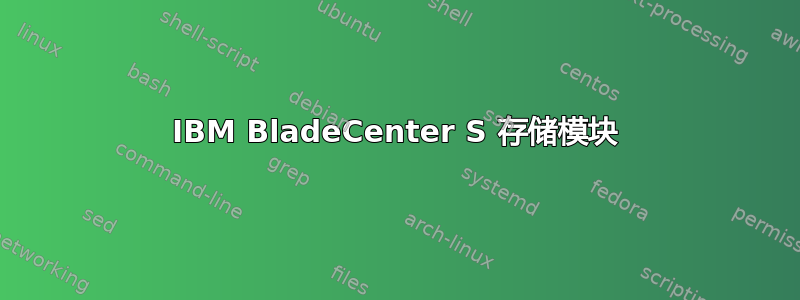 IBM BladeCenter S 存储模块