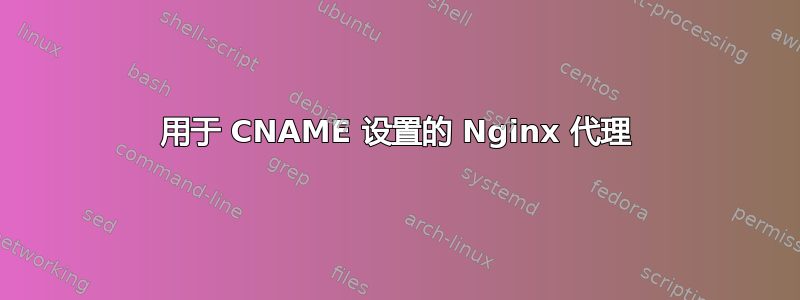 用于 CNAME 设置的 Nginx 代理