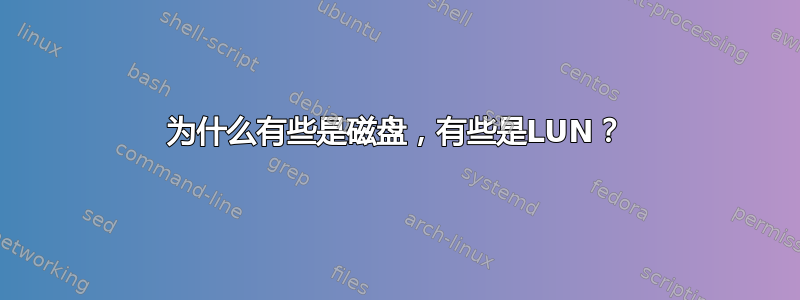 为什么有些是磁盘，有些是LUN？