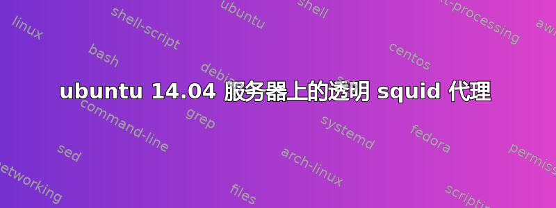 ubuntu 14.04 服务器上的透明 squid 代理