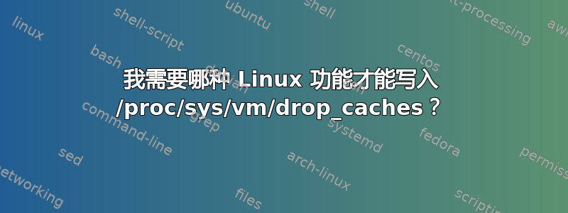 我需要哪种 Linux 功能才能写入 /proc/sys/vm/drop_caches？