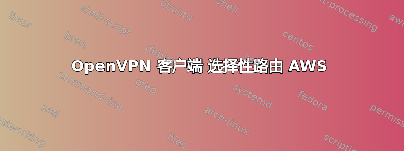 OpenVPN 客户端 选择性路由 AWS