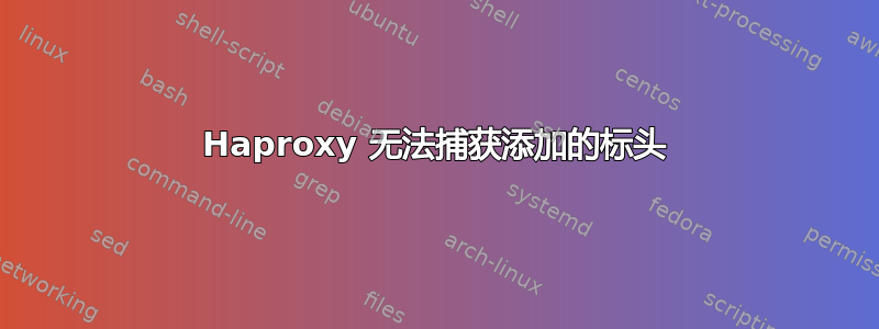 Haproxy 无法捕获添加的标头