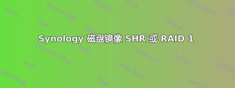 Synology 磁盘镜像 SHR 或 RAID 1