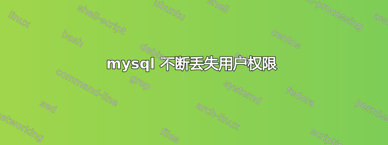 mysql 不断丢失用户权限