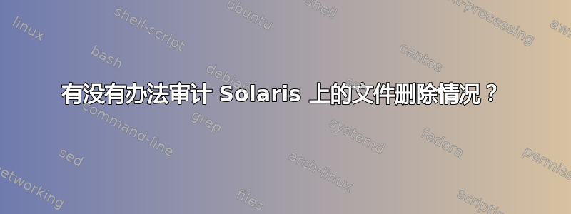 有没有办法审计 Solaris 上的文件删除情况？