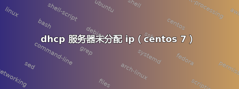 dhcp 服务器未分配 ip（centos 7）