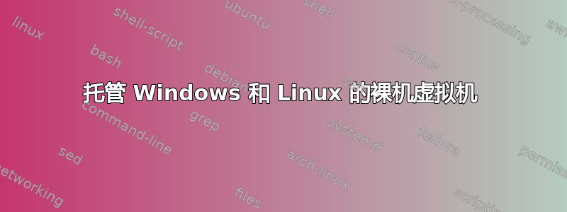 托管 Windows 和 Linux 的裸机虚拟机