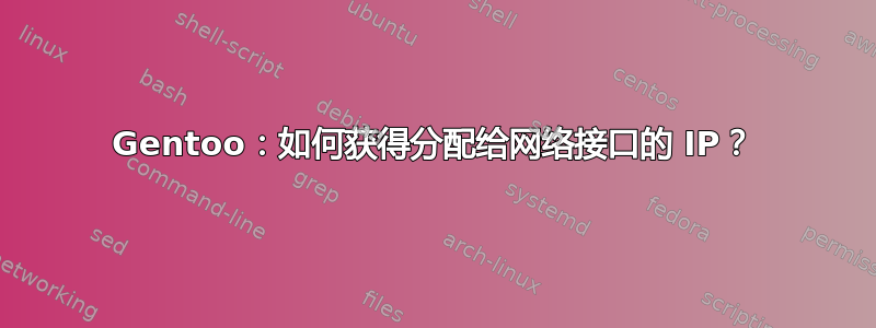 Gentoo：如何获得分配给网络接口的 IP？