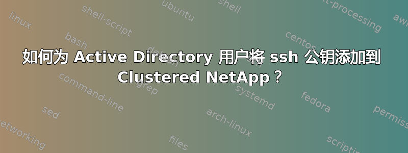 如何为 Active Directory 用户将 ssh 公钥添加到 Clustered NetApp？