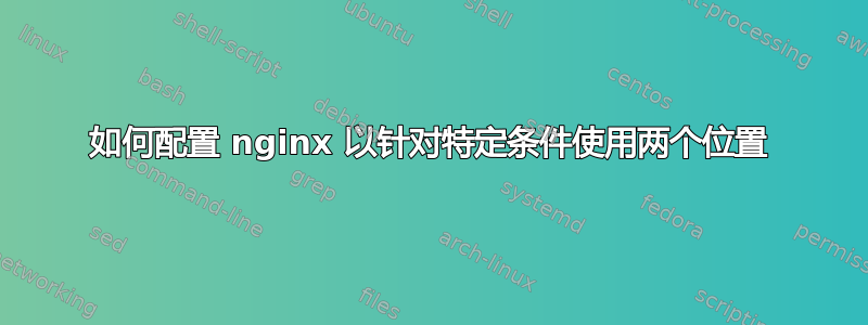 如何配置 nginx 以针对特定条件使用两个位置