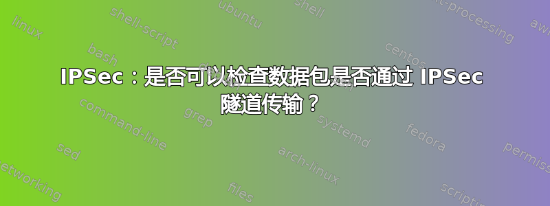 IPSec：是否可以检查数据包是否通过 IPSec 隧道传输？