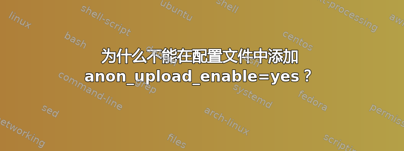 为什么不能在配置文件中添加 anon_upload_enable=yes？