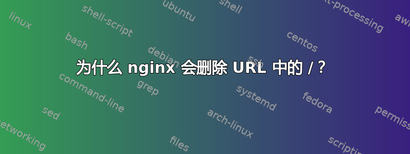 为什么 nginx 会删除 URL 中的 /？