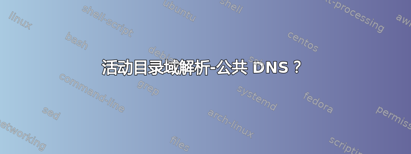 活动目录域解析-公共 DNS？