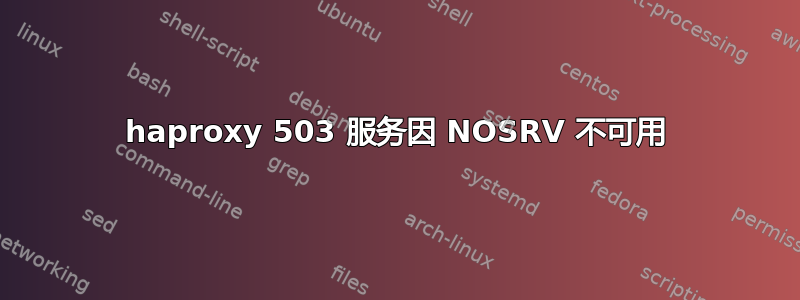 haproxy 503 服务因 NOSRV 不可用