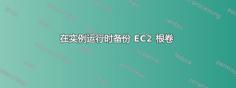 在实例运行时备份 EC2 根卷