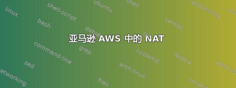 亚马逊 AWS 中的 NAT