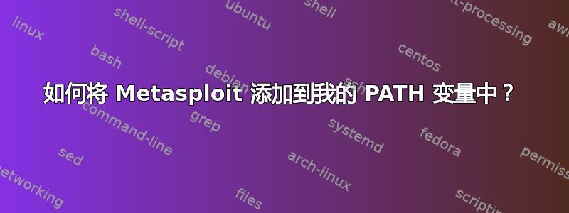 如何将 Metasploit 添加到我的 PATH 变量中？