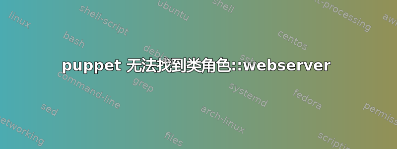 puppet 无法找到类角色::webserver