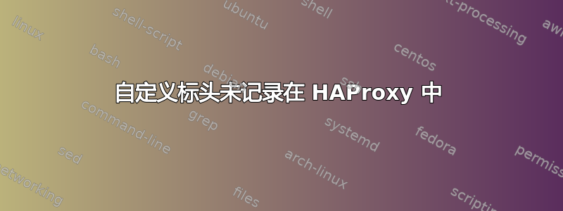 自定义标头未记录在 HAProxy 中