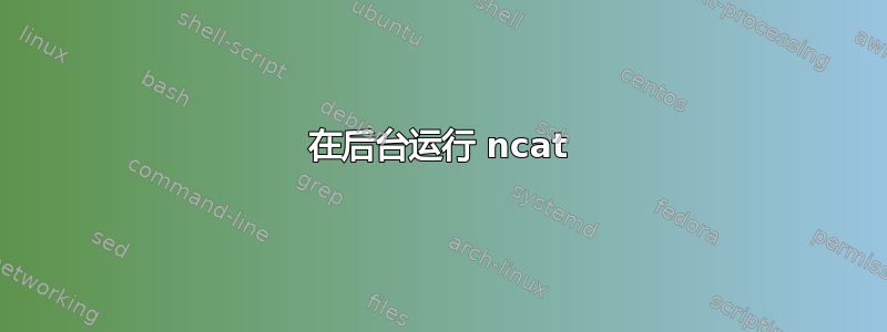 在后台运行 ncat