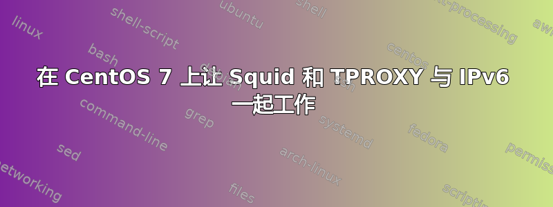 在 CentOS 7 上让 Squid 和 TPROXY 与 IPv6 一起工作