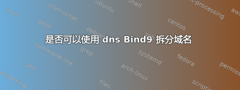 是否可以使用 dns Bind9 拆分域名