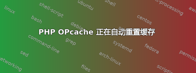 PHP OPcache 正在自动重置缓存