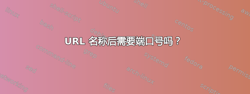 URL 名称后需要端口号吗？