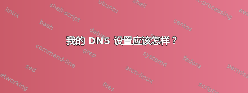 我的 DNS 设置应该怎样？