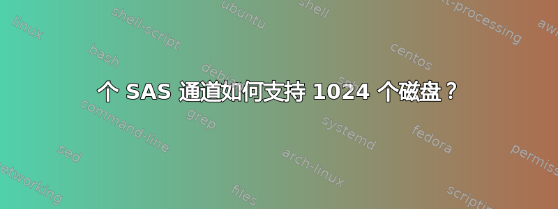 8 个 SAS 通道如何支持 1024 个磁盘？