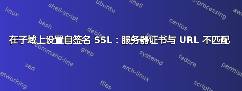 在子域上设置自签名 SSL：服务器证书与 URL 不匹配