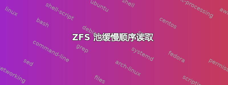 ZFS 池缓慢顺序读取