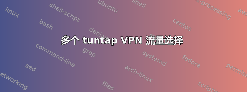 多个 tuntap VPN 流量选择