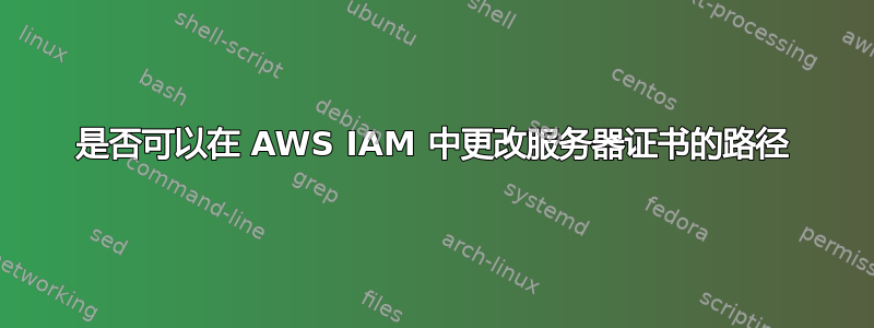 是否可以在 AWS IAM 中更改服务器证书的路径