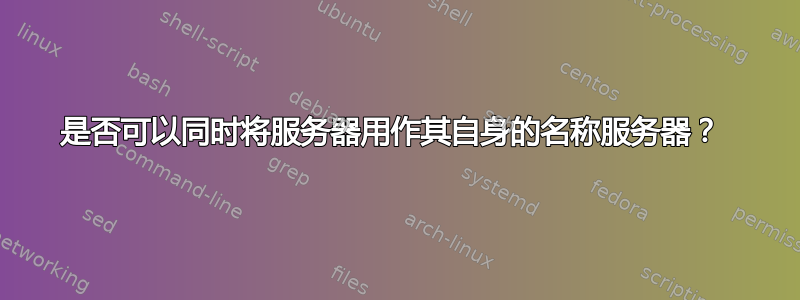 是否可以同时将服务器用作其自身的名称服务器？ 