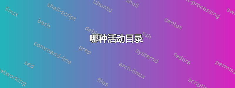 哪种活动目录