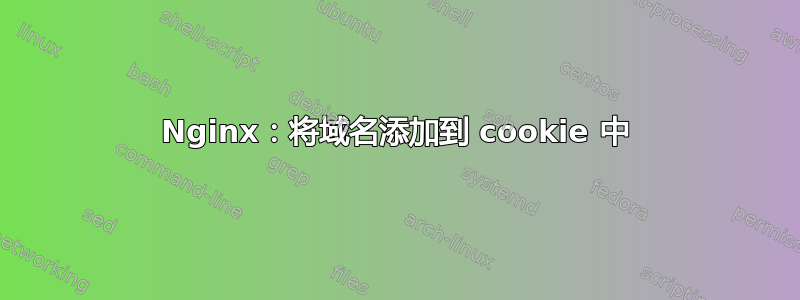 Nginx：将域名添加到 cookie 中