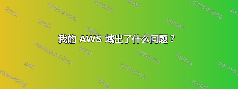 我的 AWS 域出了什么问题？