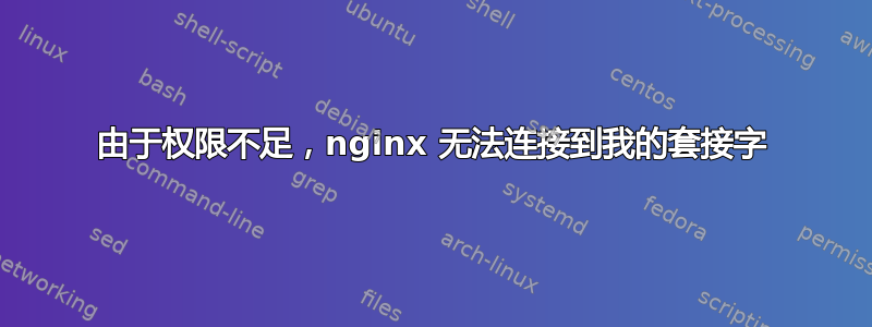 由于权限不足，nginx 无法连接到我的套接字